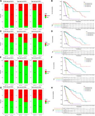 Genome Instability-Associated Long Non-Coding RNAs Reveal Biomarkers for Glioma Immunotherapy and Prognosis